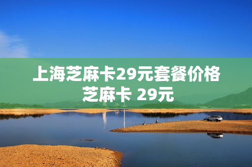 上海芝麻卡29元套餐价格 芝麻卡 29元