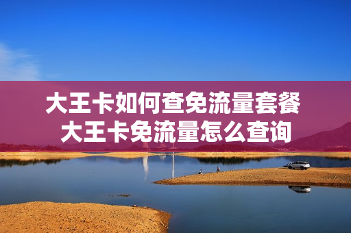 大王卡如何查免流量套餐 大王卡免流量怎么查询