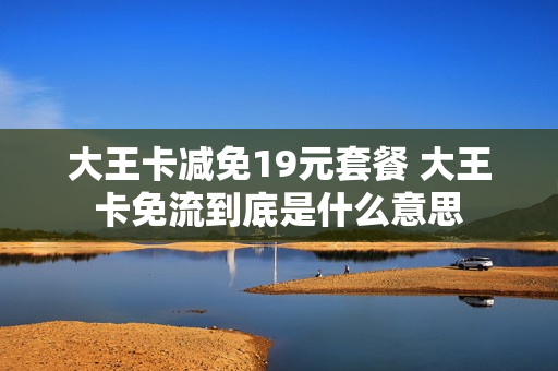大王卡减免19元套餐 大王卡免流到底是什么意思