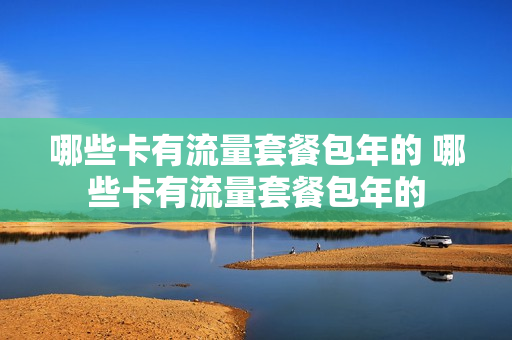 哪些卡有流量套餐包年的 哪些卡有流量套餐包年的