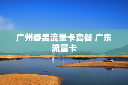 广州番禺流量卡套餐 广东流量卡
