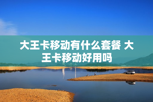 大王卡移动有什么套餐 大王卡移动好用吗