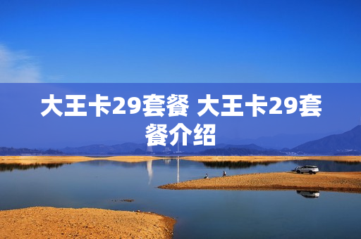 大王卡29套餐 大王卡29套餐介绍