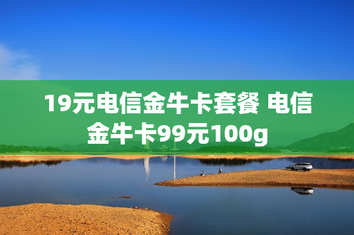 19元电信金牛卡套餐 电信金牛卡99元100g