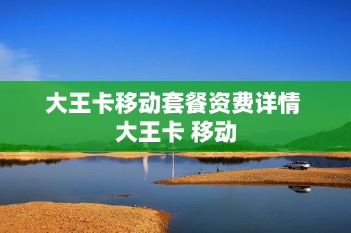 大王卡移动套餐资费详情 大王卡 移动