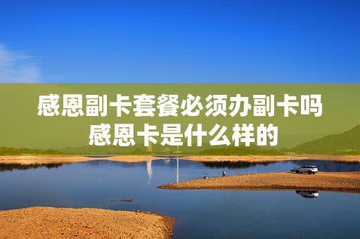 感恩副卡套餐必须办副卡吗 感恩卡是什么样的