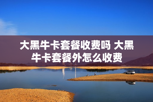 大黑牛卡套餐收费吗 大黑牛卡套餐外怎么收费