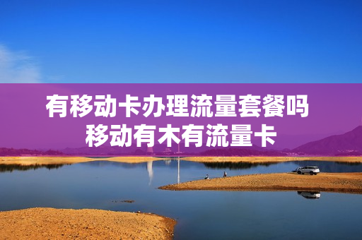 有移动卡办理流量套餐吗 移动有木有流量卡
