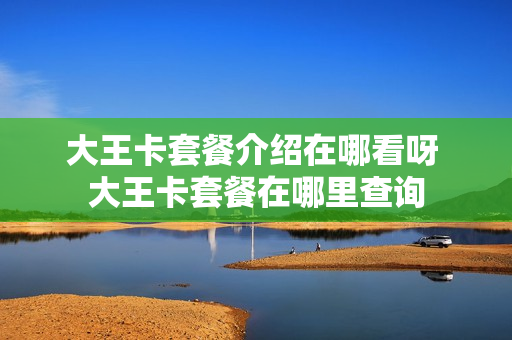 大王卡套餐介绍在哪看呀 大王卡套餐在哪里查询