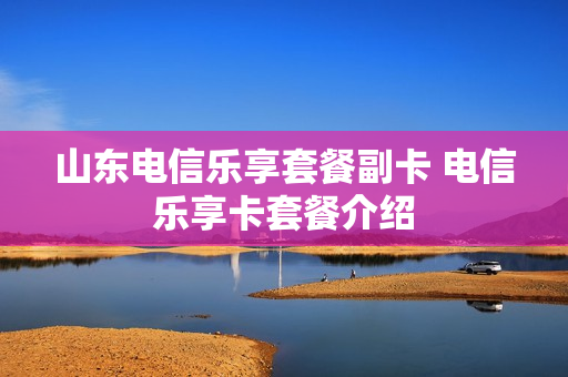 山东电信乐享套餐副卡 电信乐享卡套餐介绍