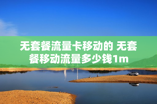 无套餐流量卡移动的 无套餐移动流量多少钱1m
