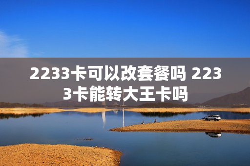 2233卡可以改套餐吗 2233卡能转大王卡吗