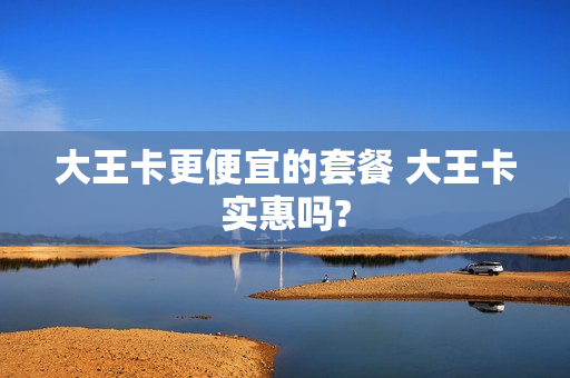 大王卡更便宜的套餐 大王卡实惠吗?
