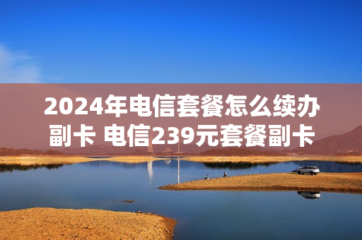 2024年电信套餐怎么续办副卡 电信239元套餐副卡