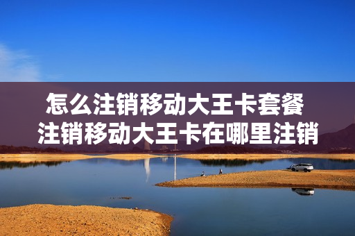 怎么注销移动大王卡套餐 注销移动大王卡在哪里注销