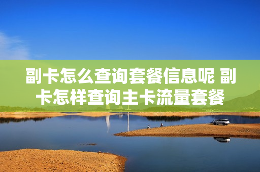 副卡怎么查询套餐信息呢 副卡怎样查询主卡流量套餐