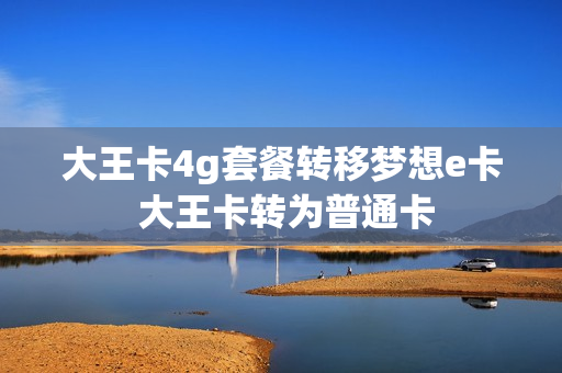 大王卡4g套餐转移梦想e卡 大王卡转为普通卡