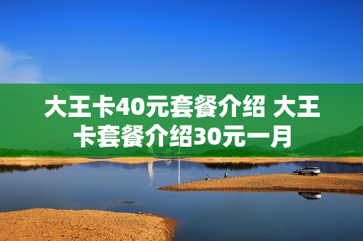大王卡40元套餐介绍 大王卡套餐介绍30元一月