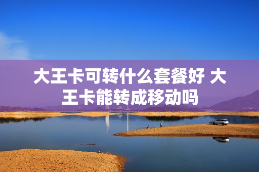 大王卡可转什么套餐好 大王卡能转成移动吗