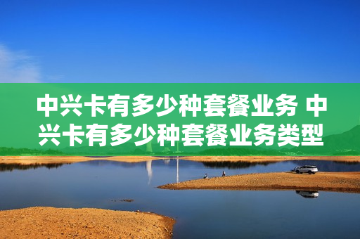 中兴卡有多少种套餐业务 中兴卡有多少种套餐业务类型