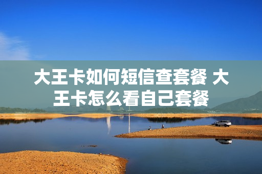 大王卡如何短信查套餐 大王卡怎么看自己套餐