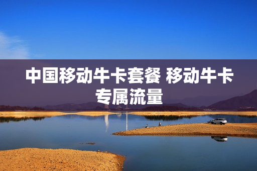 中国移动牛卡套餐 移动牛卡专属流量