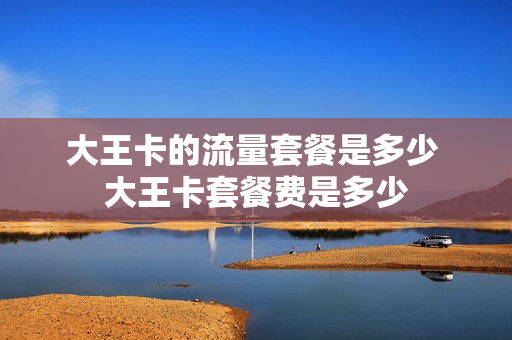 大王卡的流量套餐是多少 大王卡套餐费是多少