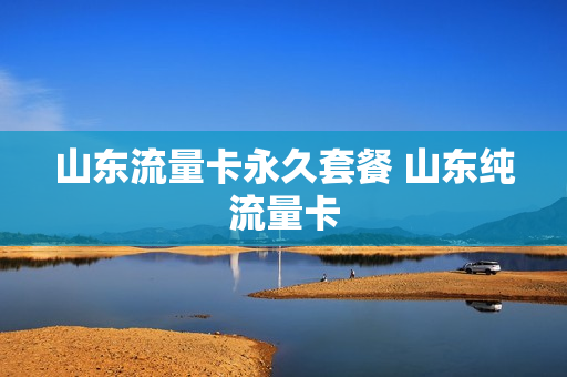 山东流量卡永久套餐 山东纯流量卡