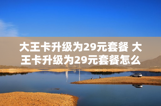 大王卡升级为29元套餐 大王卡升级为29元套餐怎么办理