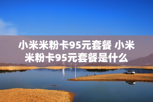 小米米粉卡95元套餐 小米米粉卡95元套餐是什么