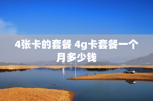 4张卡的套餐 4g卡套餐一个月多少钱