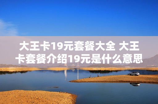 大王卡19元套餐大全 大王卡套餐介绍19元是什么意思