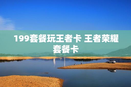 199套餐玩王者卡 王者荣耀套餐卡
