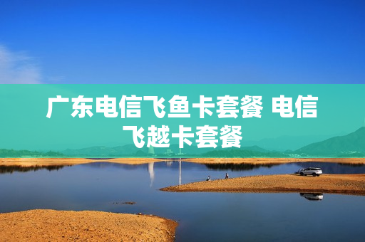 广东电信飞鱼卡套餐 电信飞越卡套餐