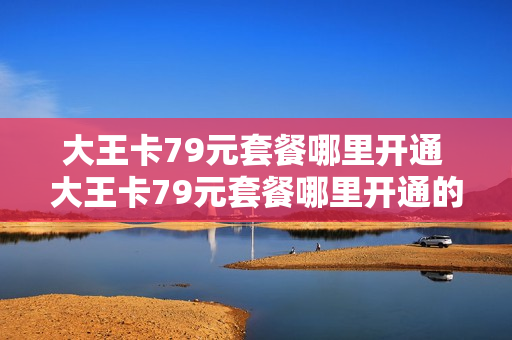 大王卡79元套餐哪里开通 大王卡79元套餐哪里开通的