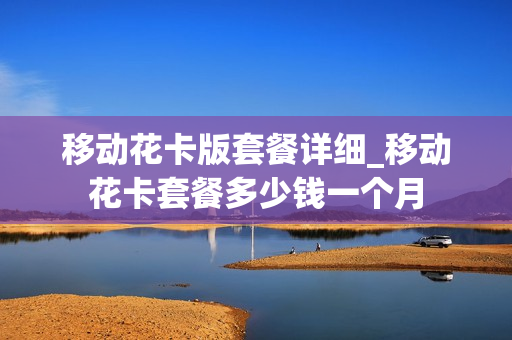 移动花卡版套餐详细_移动花卡套餐多少钱一个月