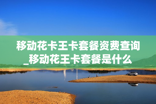 移动花卡王卡套餐资费查询_移动花王卡套餐是什么