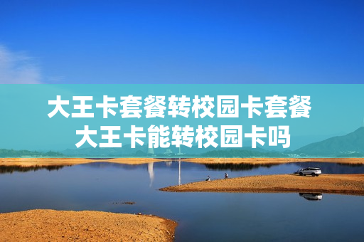大王卡套餐转校园卡套餐 大王卡能转校园卡吗