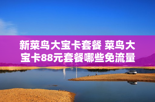 新菜鸟大宝卡套餐 菜鸟大宝卡88元套餐哪些免流量