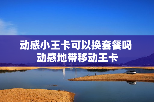 动感小王卡可以换套餐吗 动感地带移动王卡