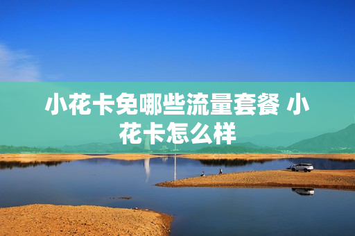 小花卡免哪些流量套餐 小花卡怎么样