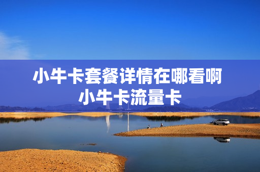 小牛卡套餐详情在哪看啊 小牛卡流量卡