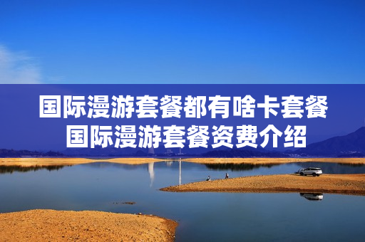 国际漫游套餐都有啥卡套餐 国际漫游套餐资费介绍