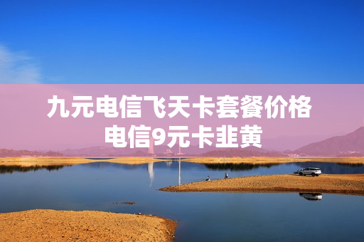 九元电信飞天卡套餐价格 电信9元卡韭黄