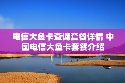 电信大鱼卡查询套餐详情 中国电信大鱼卡套餐介绍