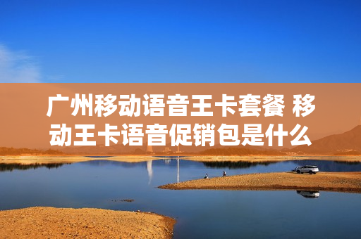 广州移动语音王卡套餐 移动王卡语音促销包是什么
