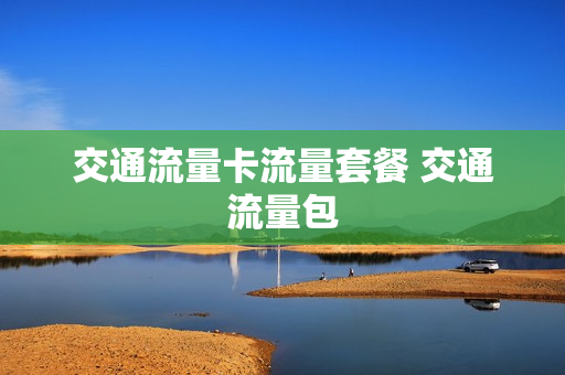 交通流量卡流量套餐 交通流量包