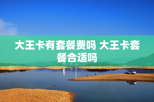 大王卡有套餐费吗 大王卡套餐合适吗