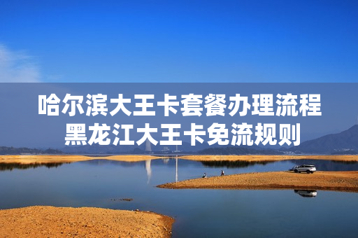 哈尔滨大王卡套餐办理流程 黑龙江大王卡免流规则