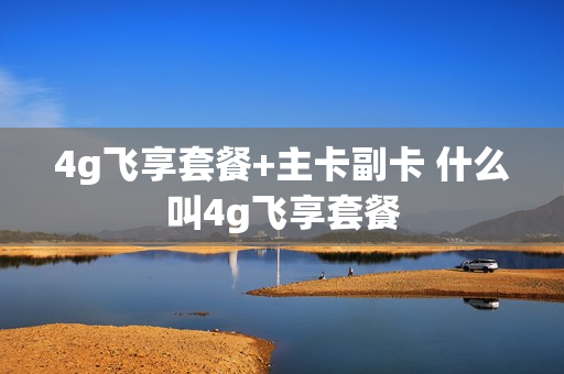 4g飞享套餐+主卡副卡 什么叫4g飞享套餐
